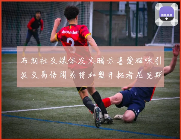 布朗社交媒体发文暗示喜爱猫咪引发交易传闻或将加盟开拓者尼克斯雷霆湖人